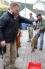 Abfischen